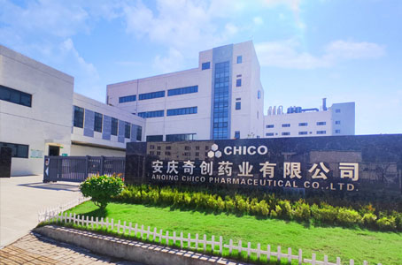 安慶奇創藥業有限公司